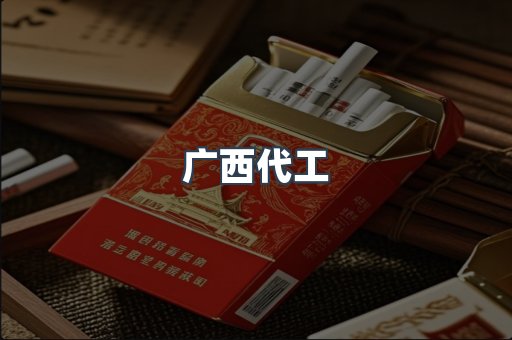 广西代工